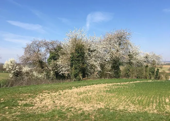 Sonnige Mit Balkon *